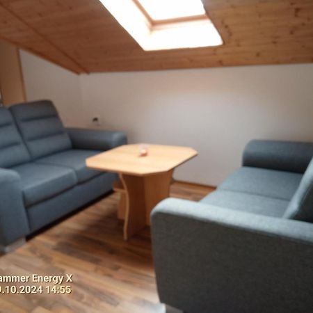 Villa Na Červené louce relax 1 à Egra  Extérieur photo