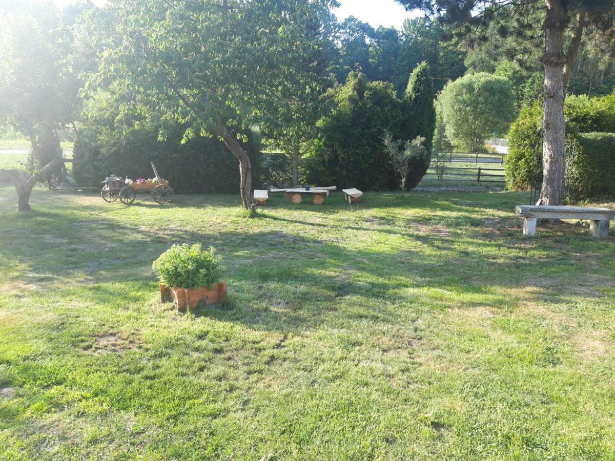 Villa Na Červené louce relax 1 à Egra  Extérieur photo