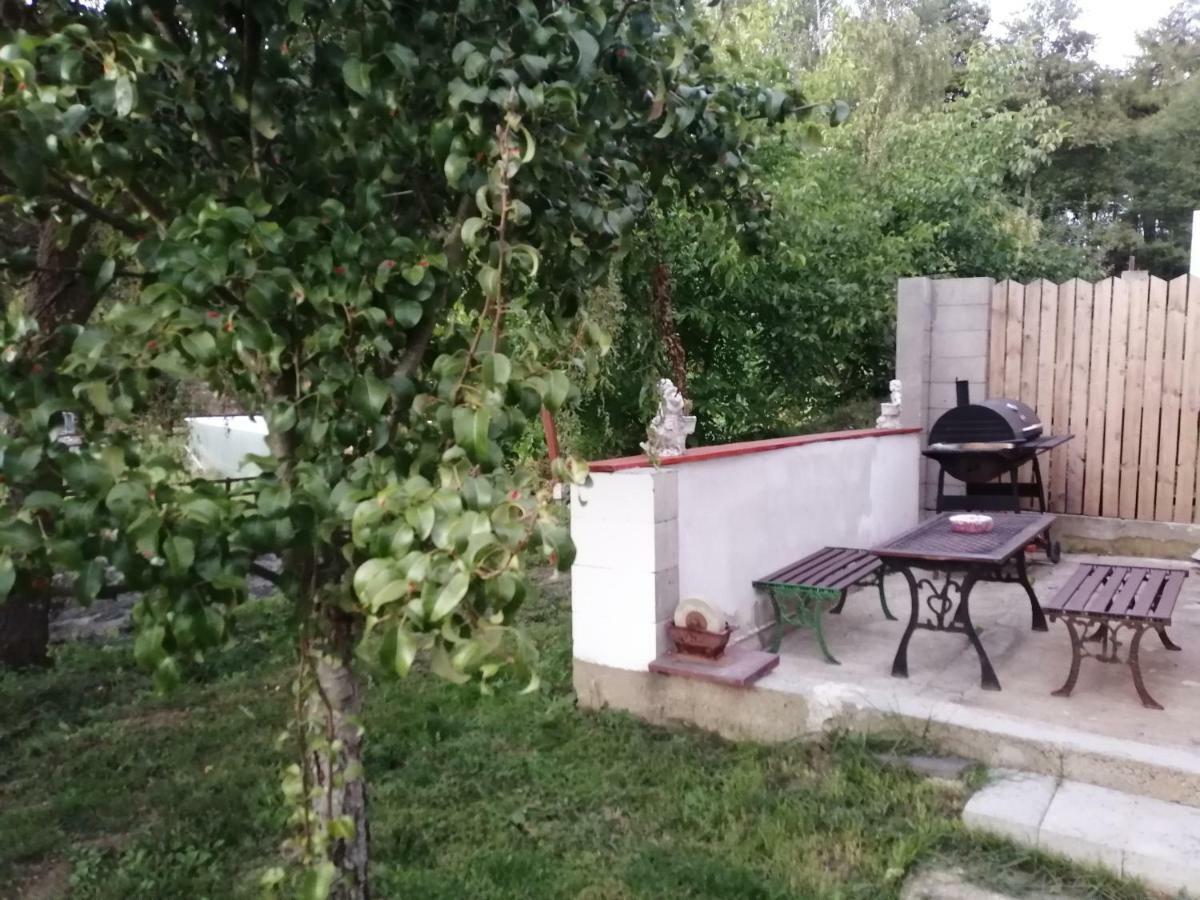 Villa Na Červené louce relax 1 à Egra  Extérieur photo